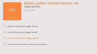 Denez Prigent  Remix James Digger Remix  EP Album Preview [upl. by Ecnahoy]