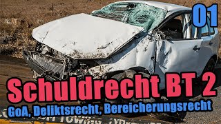 Schuldrecht BT 2 Deliktsrecht Bereicherungsrecht GoA  Einführung [upl. by Jilleen]