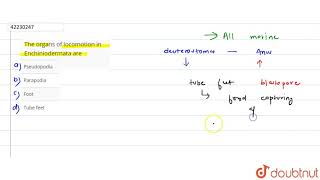 The organs of locomotion in Enchiniodermata are [upl. by Nalani]