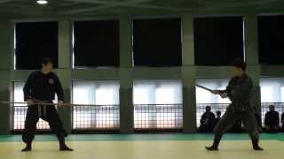 2013 武神館 Bujinkan ・東京武道館演武 Tokyo Budokan Enbu [upl. by Eidnyl669]