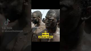 5 Major African Slave Tribe nicaragua jamaica aruba africa slaves history historyfacts [upl. by Nybor]