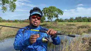 விரால் மீன் ரப்பர் தவளை பயன்படுத்தி பிடிப்பது எப்படி How to catch Veral meen using rubber frog [upl. by Ieluuk]