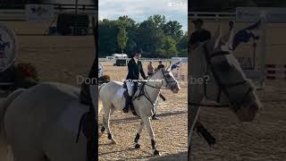 eventing seamus dressage showjumping xc horsemanship [upl. by Assirod16]