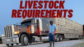 Inside Livestock Hauling Vital Requirements Every Driver Must Know hoodlivestock requirements [upl. by Fonzie205]