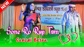 Sone Ro Rup Tam Singer  sanodi besra santali song New Santali Program 2023 [upl. by Hennessey53]