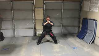 Jamie Seabrook  Kenpo Short Form 4 [upl. by Aubry]