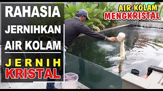 CARA MENJERNIHKAN AIR KOLAM IKAN‼️Air Kolam Super Jernih⁉️ [upl. by Laeynad]