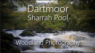 Sharrah Pool Dartmoor Woodland Photography [upl. by Aikan512]