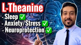 LTheanine Does This to Your BRAIN  How to Take LTheanine CORRECTLY [upl. by Atnas]