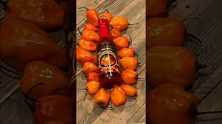 Our Mango Habanero hot sauce is the perfect blend of sweet and spicy WildtoMild HotSauce [upl. by Nywles804]