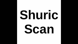 Shuric Scan MIDI [upl. by Eimirej]