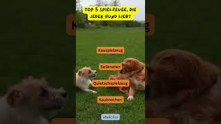 Top 5 Spielzeuge die jeder Hund liebt hunde bellofon [upl. by Etnaled686]