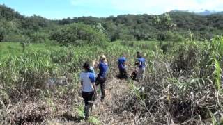 Wiederbewaldung  Reforestation Finca Amable Costa Rica 2013 [upl. by Solly]