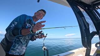 Nearshore Reef Fishing with Tiger Shark Encounter off of Myrtle Beach SC [upl. by Atilrac]