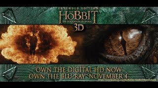 The Hobbit The Desolation Of Smaug  Behind The Scenes Extended Edition [upl. by Atiuqaj]