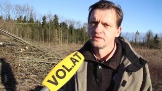 Die Esche stirbt aus – Globalisierung tötet Vorarlbergs dritthäufigsten Baum [upl. by Amairam577]