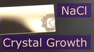 Oriented growth of mmsized NaCl crystals  XRD [upl. by Kinson]