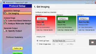 MutiFluorescent Imaging with BioRads Image Lab Software [upl. by Aindrea]