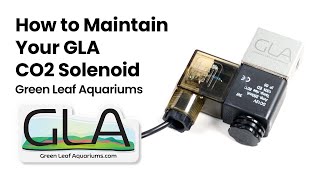 How to GLA CO2 Solenoid  quick maintenance procedure for cleaning your GLA CO2 regulator solenoid [upl. by Manwell]