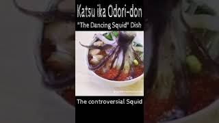 Japans Dancing Squid  Odori Don  The Controversial Squid shorts [upl. by Sanjiv748]