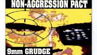 NON AGGRESSION PACT  DATA RAPE [upl. by Ahsaeyt]