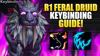 Rank 1 Feral Druid War Within Keybinding Guide [upl. by Brittney869]