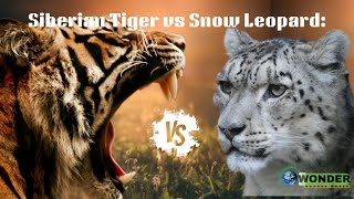 Siberian Tiger vs Snow Leopard A Detailed Comparison [upl. by Anoj538]