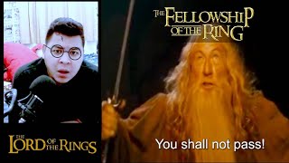 Harry Potter Fans Watching The Lord Of The Rings The Fellowship Of The Ring Reaction part 2 [upl. by Mountford]