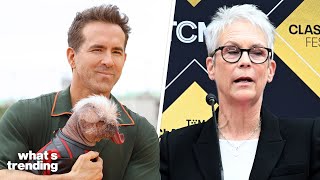 Jamie Lee Curtis SLAMS Marvel Ryan Reynolds RESPONDS [upl. by Hetti]