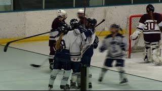 Rebels set to coop with Coon Rapids in girls hockey [upl. by Atilrep517]