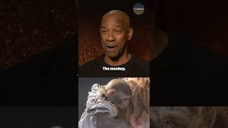 Denzel Washington Loves The Gladiator II Monkey [upl. by Falo120]