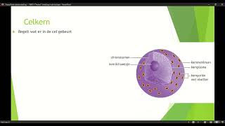 Klas 4 VWO Thema 1 Inleiding in de biologie basisstof 4 organellen deel 1 [upl. by Ilrebma886]