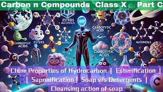 Carbon Compounds  Part C  Class X  Most Important Topics [upl. by Aihsekyw]