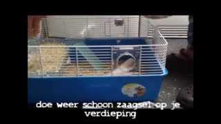 Hoe maak je een hamsterkooi schoon  Hammies World [upl. by Eniamrahc265]