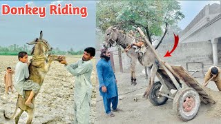 Aaj Gabbar Ne Donkey Pa Mati Load Ki  Donkey Riding [upl. by Friday]