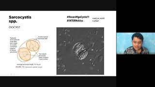 MT 51 Didactics  Parasitology Review Miscellaneous Protozoa Part 2 [upl. by Neural]