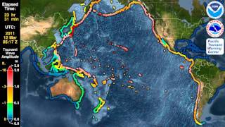 Tsunami Forecast Model Animation Japan 2011 [upl. by Annauqaj]