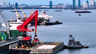 ECranes Lightering in New York Harbor Scrap On Salt Off [upl. by Laughlin]