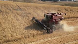 Palouse harvest with the red ones [upl. by Lihas]