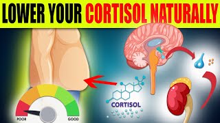 Signs of high cortisol levels and how to lower it naturally [upl. by Blight]