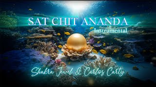 SAT CHIT ANANDA INSTRUMENTALS [upl. by Anelegna]