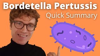 Bordetella Pertussis Quickly Explained [upl. by Tamera493]