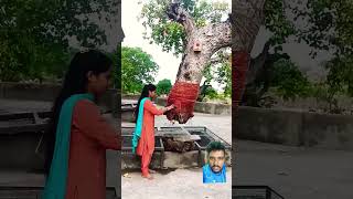 😱😱Without root tree😱God is great🙏shortsfeed shortvideo shorts short god tree youtubeshorts [upl. by Jolyn]