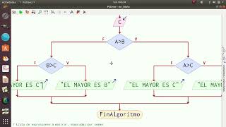 Pseint si anidados  2ºPYC [upl. by Noffets]