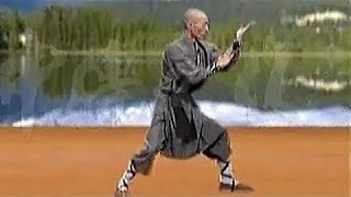 Shaolin kung fu luohan 18 hands [upl. by Ednyl212]