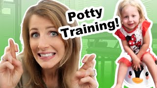 Potty Training in 3 Days [upl. by Drislane]