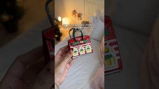 Christmas Airpod Case  Mini Birkin Christmas Edition airpodscases airpods bag birkin minibag [upl. by Copeland]