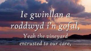 Gwinllan a Roddwyd  Dafydd Iwan geiriau  lyrics [upl. by Lancelle]