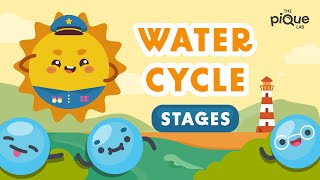 Water Cycle Stages  Primary School Science Animation [upl. by Ilenna]