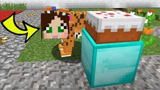 Minecraft TIGERS HIDE AND SEEK  Morph Hide And Seek  Modded MiniGame [upl. by Dey]